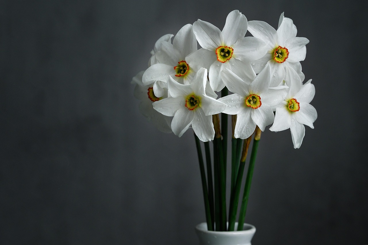 daffodils, white flowers, floral arrangement, flower arrangement, nature, flower vase, blossom, beautiful flowers, flowers, flower background, still life, flower wallpaper, centerpiece, bloom